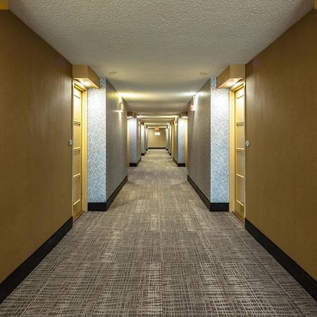 Auberge Royal Versailles Montreal Zewnętrze zdjęcie